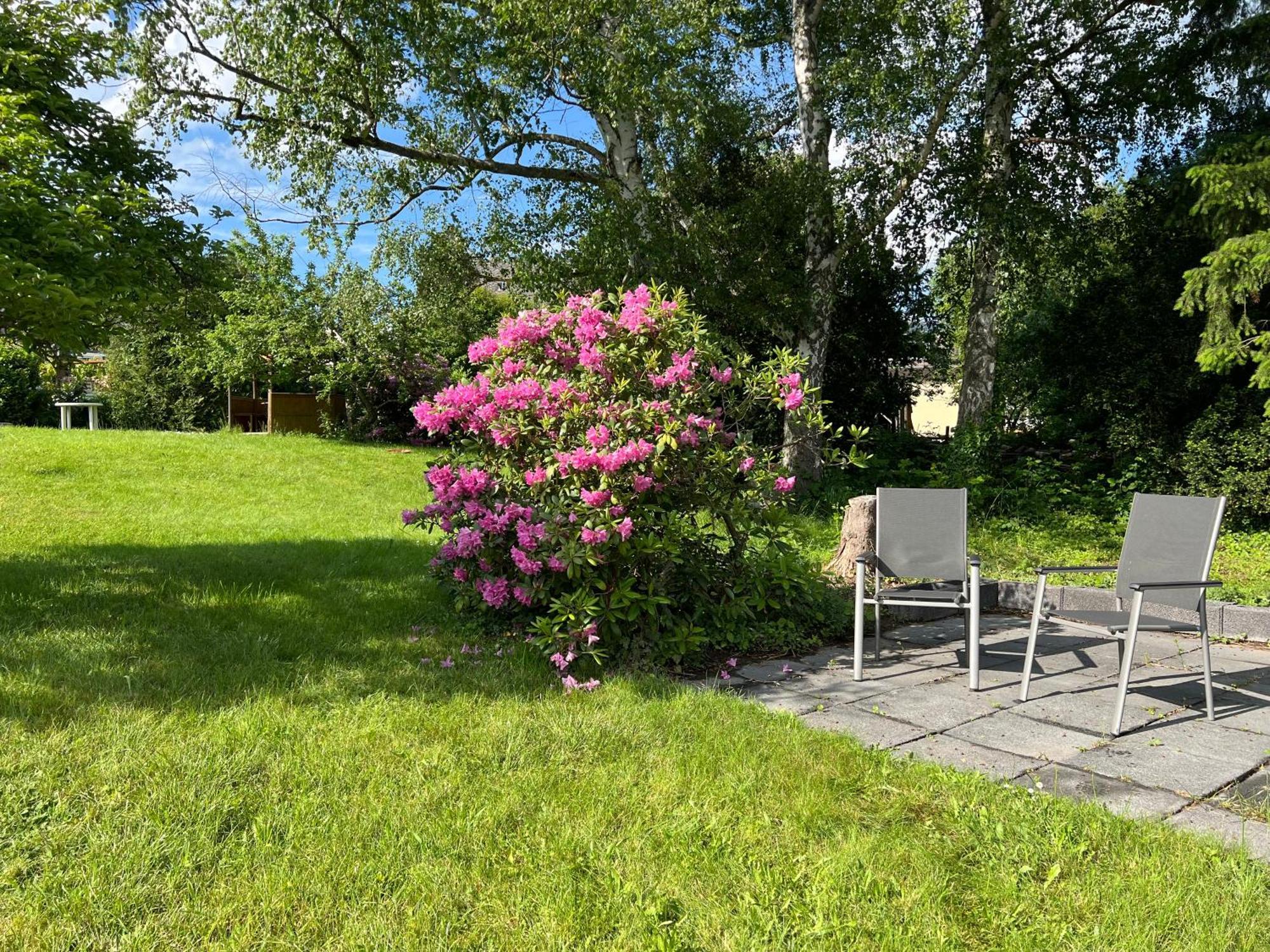Ferienwohnung Malk Traben-Trarbach Oda fotoğraf