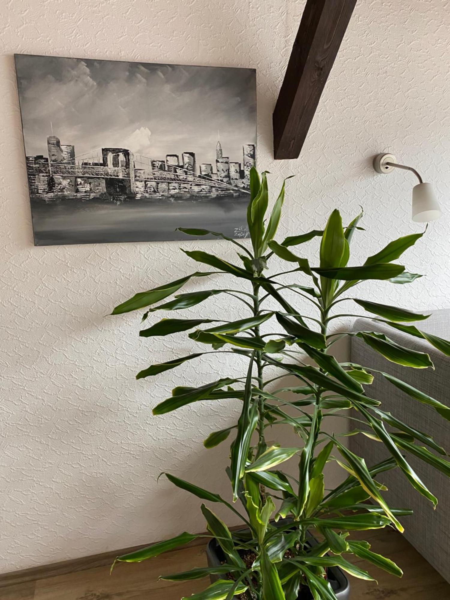 Ferienwohnung Malk Traben-Trarbach Dış mekan fotoğraf